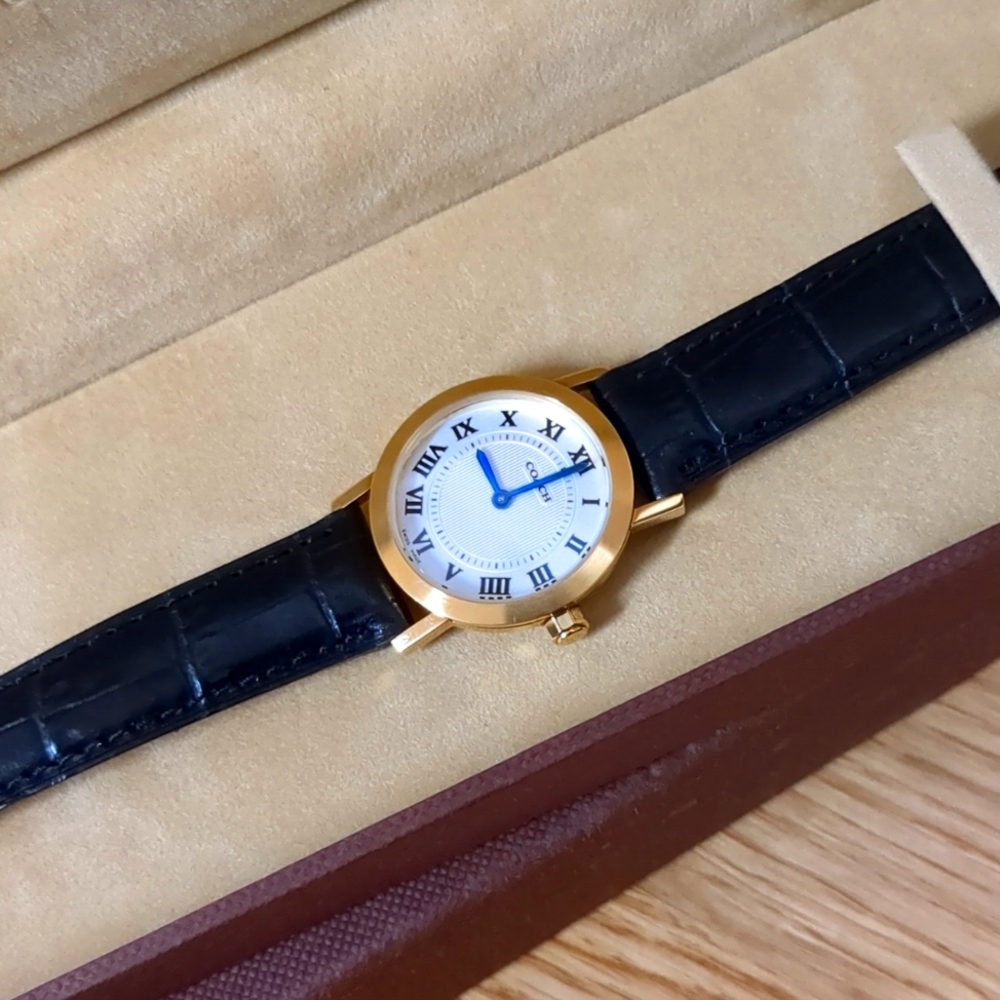 Coach watch